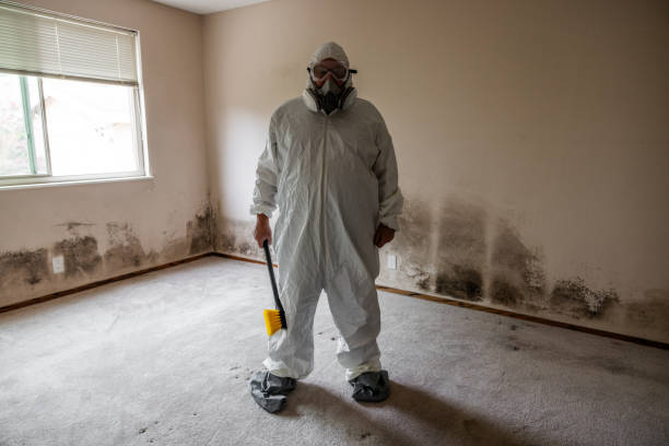 Best Post-Remediation Services in Homerville, GA